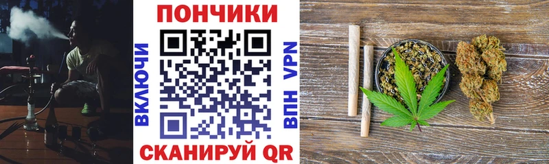 Купить закладки Новотитаровская Бошки марихуана сатива
